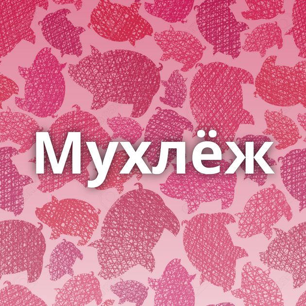 Мухлёж