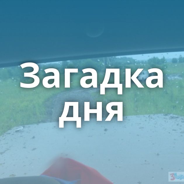 Загадка дня