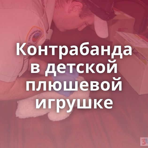 Контрабанда в детской плюшевой игрушке