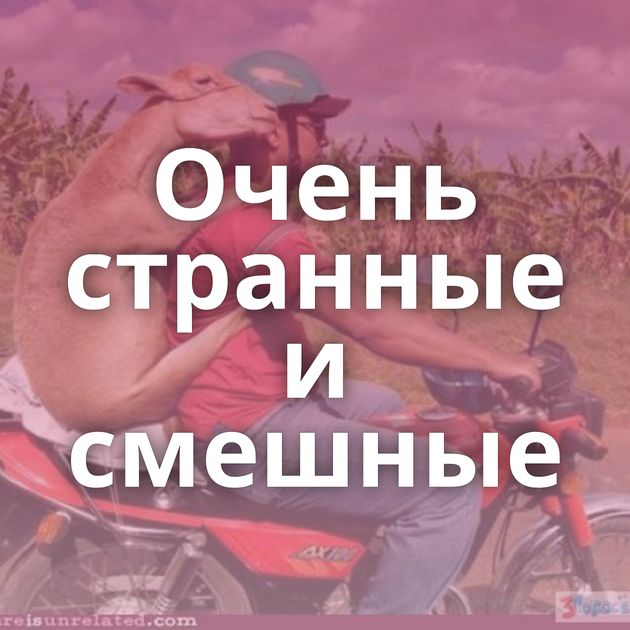 Очень странные и смешные