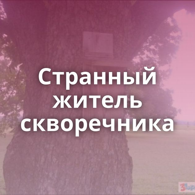 Странный житель скворечника