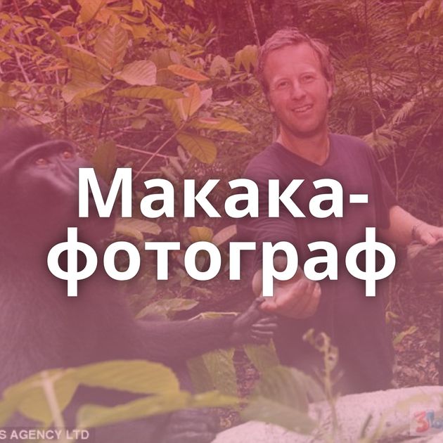 Макака-фотограф