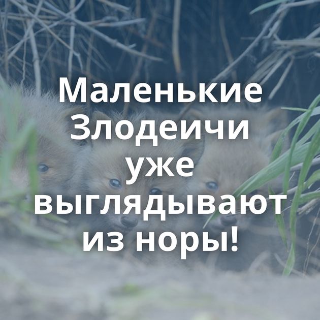 Маленькие Злодеичи уже выглядывают из норы!