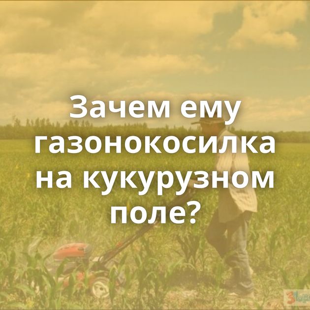 Зачем ему газонокосилка на кукурузном поле?