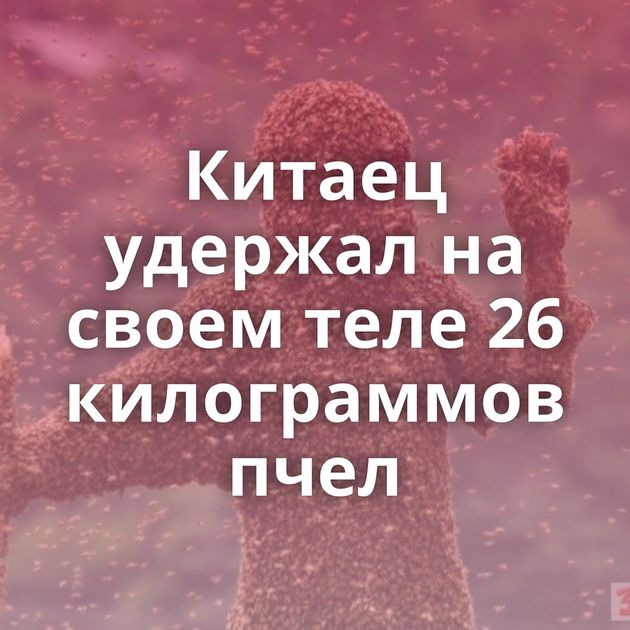 Китаец удержал на своем теле 26 килограммов пчел