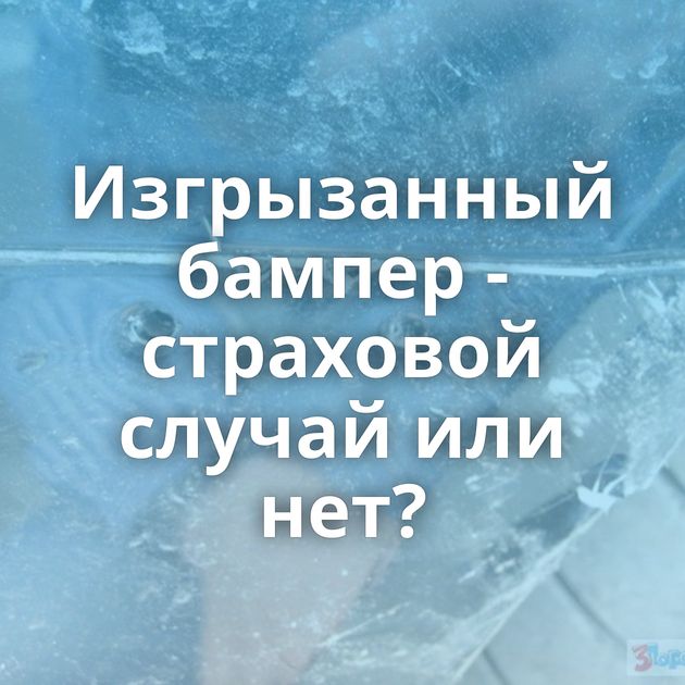 Изгрызанный бампер - страховой случай или нет?