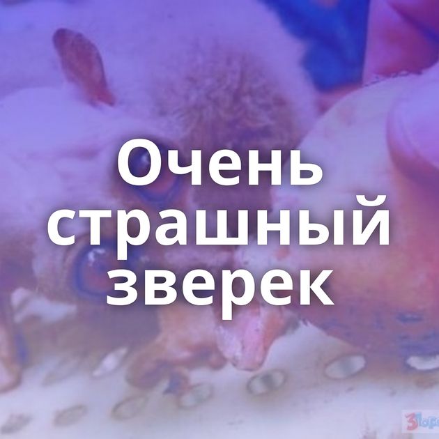 Очень страшный зверек