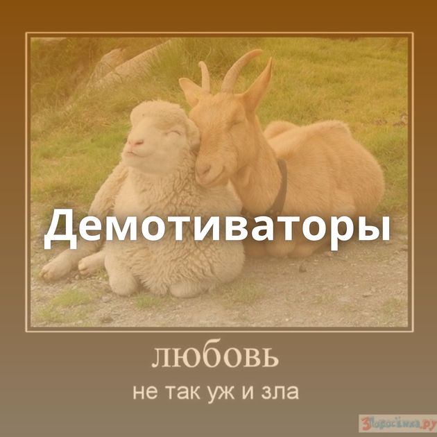 Демотиваторы