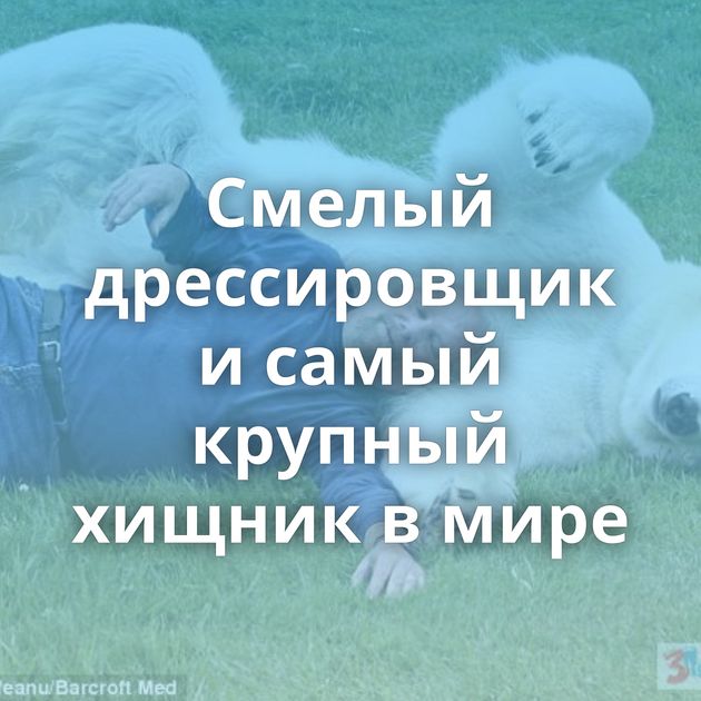 Смелый дрессировщик и самый крупный хищник в мире