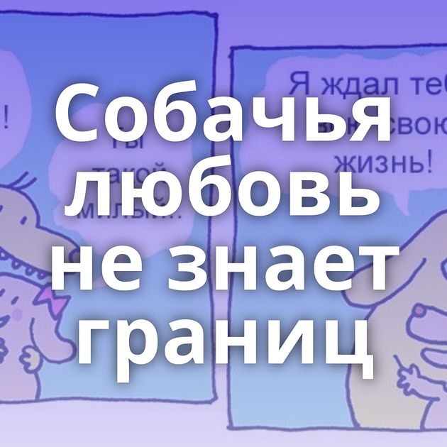 Собачья любовь не знает границ