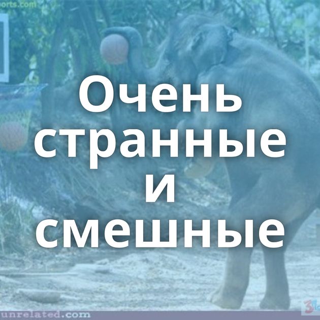 Очень странные и смешные