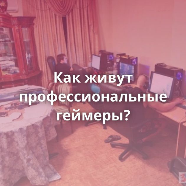 Как живут профессиональные геймеры?