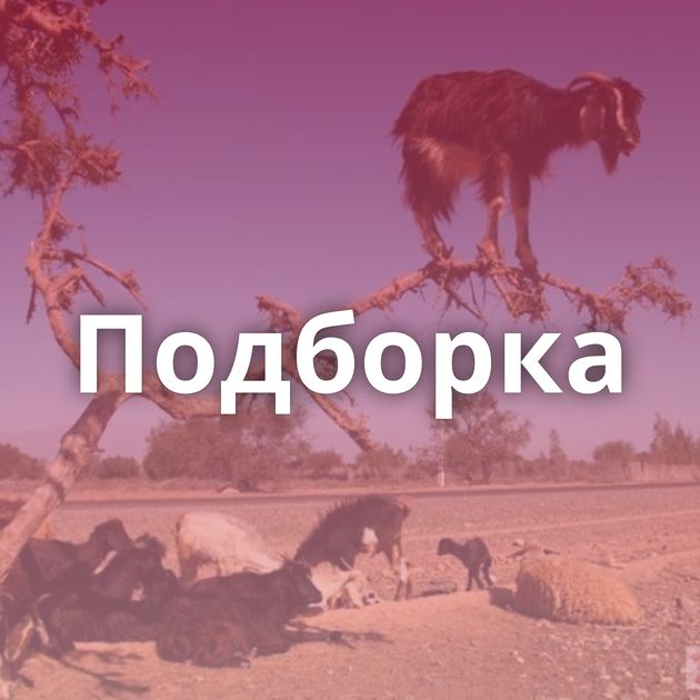 Подборка