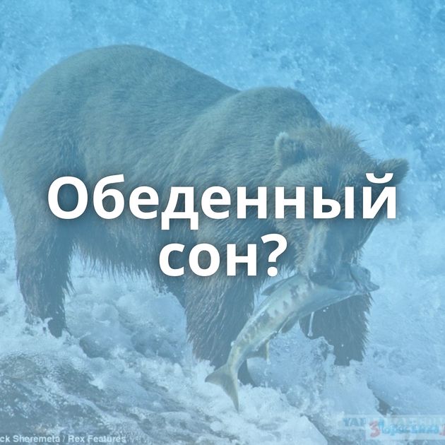 Обеденный сон?