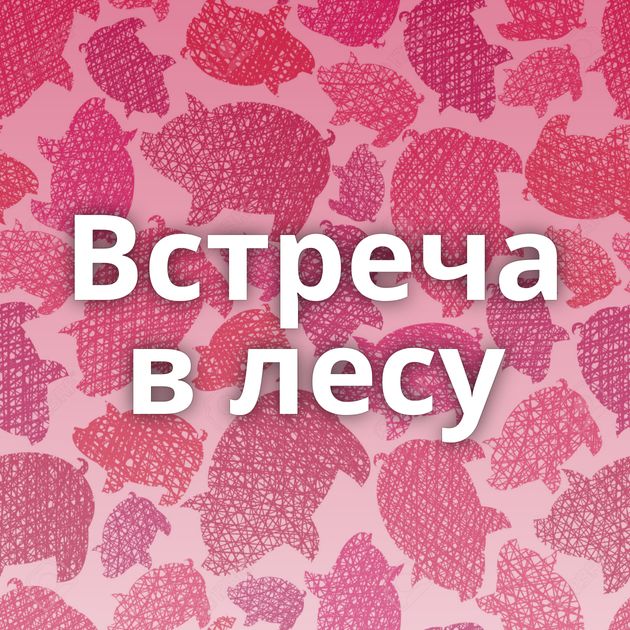 Встреча в лесу