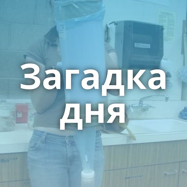 Загадка дня