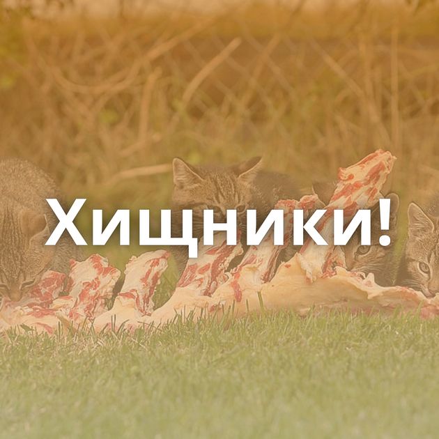 Хищники!