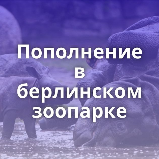 Пополнение в берлинском зоопарке