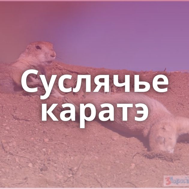 Суслячье каратэ