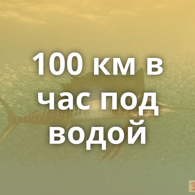 100 км в час под водой