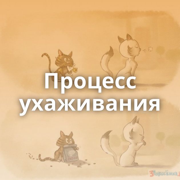 Процесс ухаживания