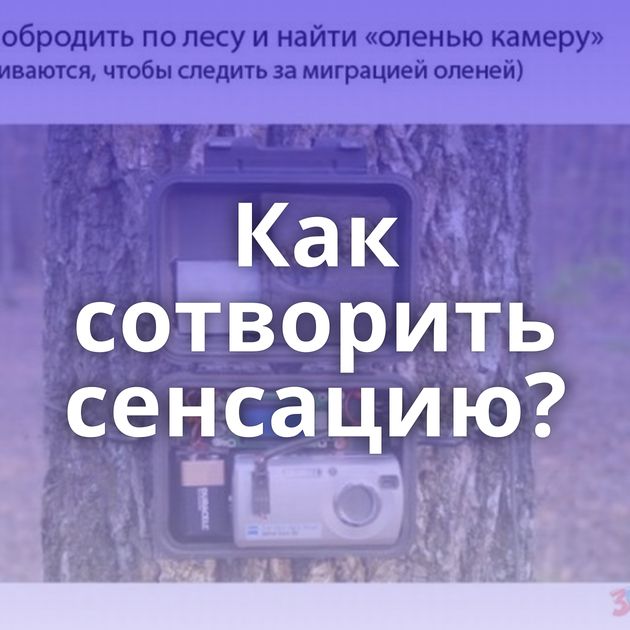 Как сотворить сенсацию?