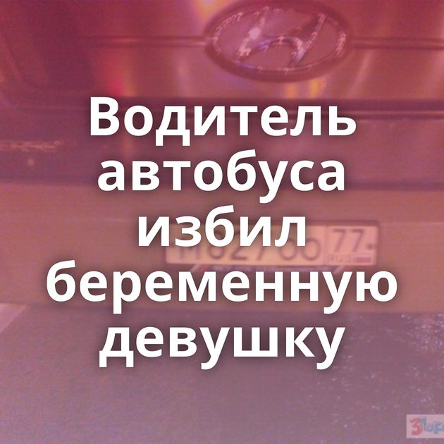 Водитель автобуса избил беременную девушку