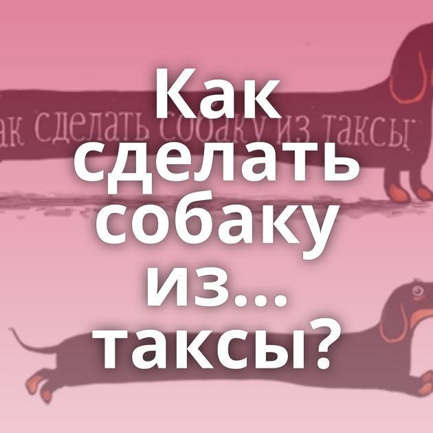 Как сделать собаку из... таксы?