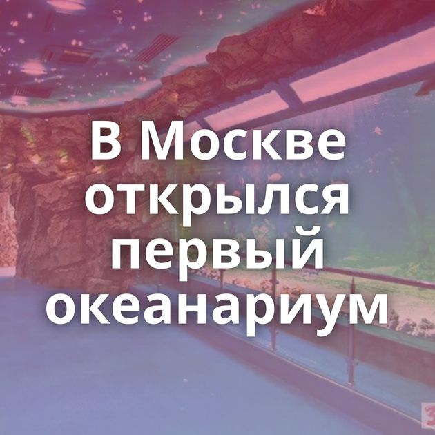 В Москве открылся первый океанариум