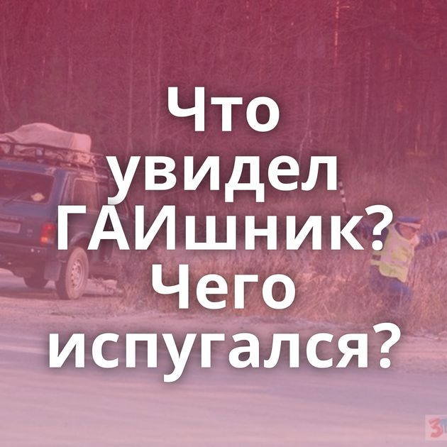 Что увидел ГАИшник? Чего испугался?