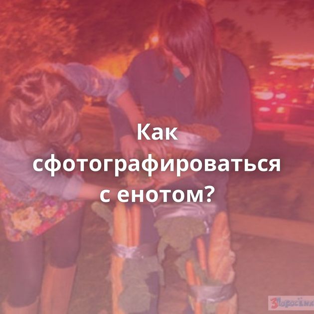 Как сфотографироваться с енотом?