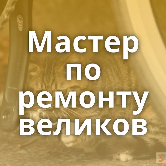 Мастер по ремонту великов