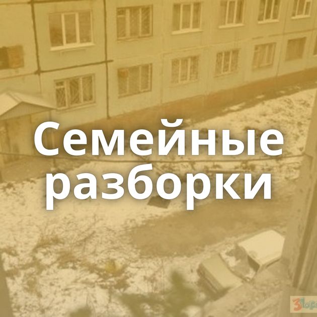 Семейные разборки