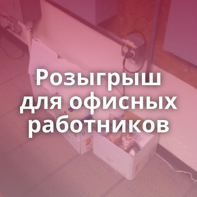 Розыгрыш для офисных работников