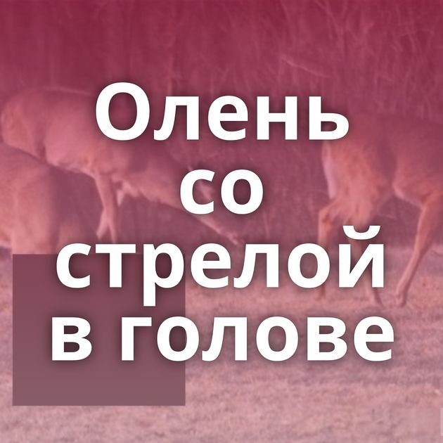 Олень со стрелой в голове