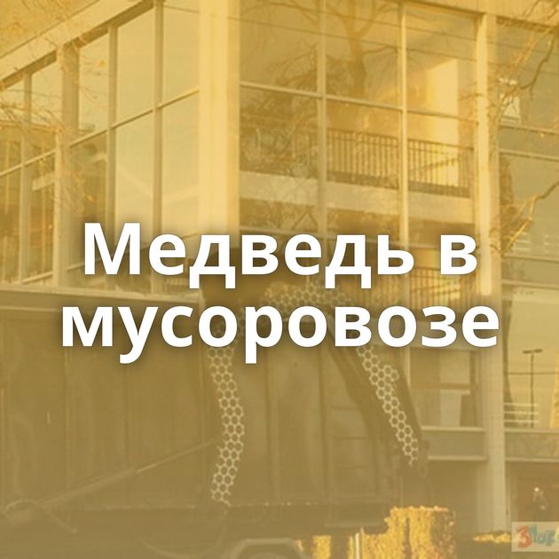 Медведь в мусоровозе