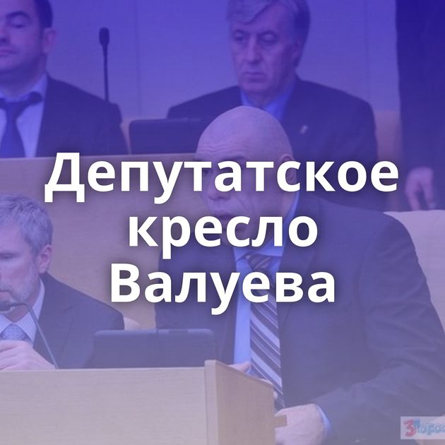 Депутатское кресло Валуева