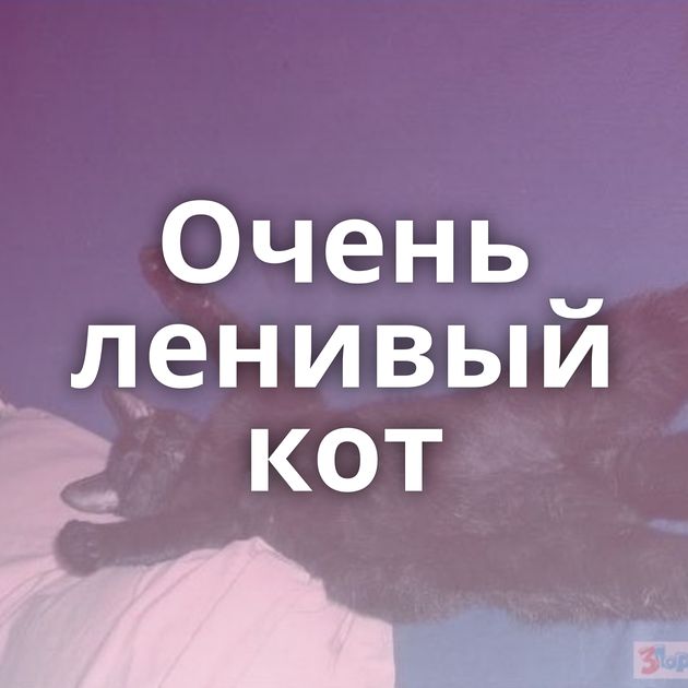 Очень ленивый кот