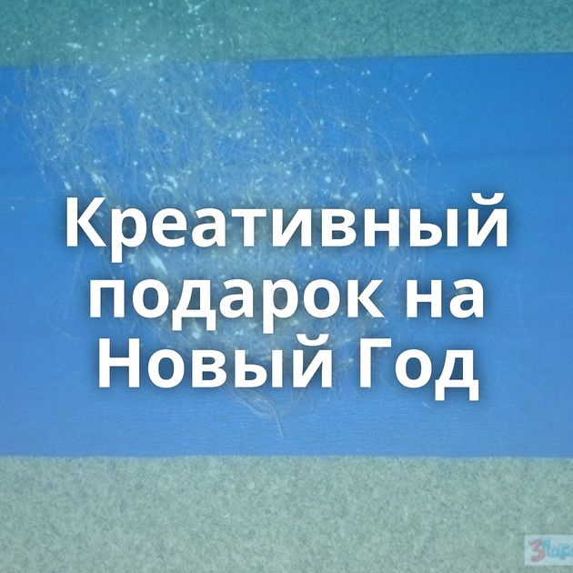 Креативный подарок на Новый Год