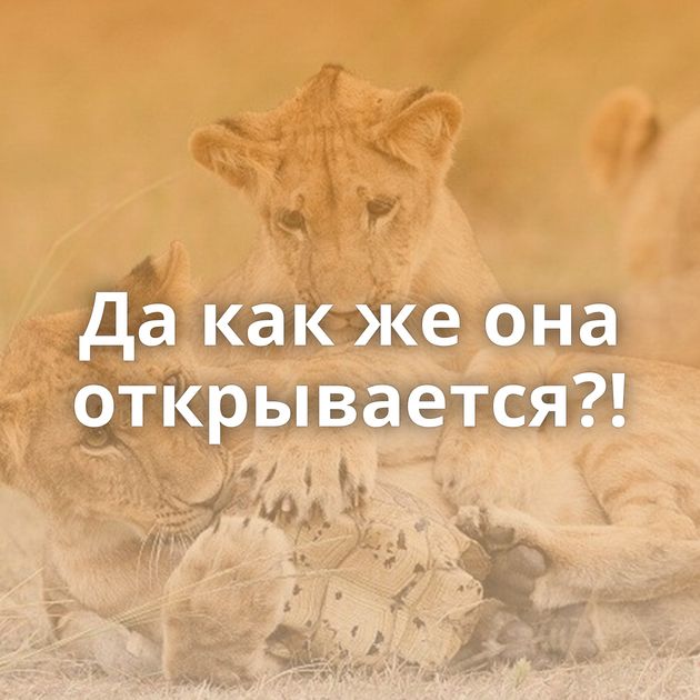 Да как же она открывается?!