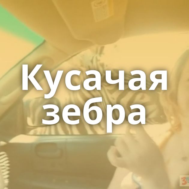 Кусачая зебра