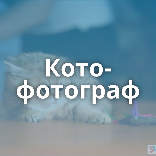 Кото-фотограф