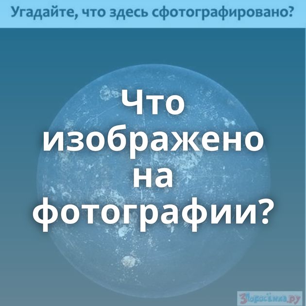 Что изображено на фотографии?