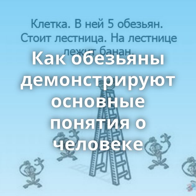 Как обезьяны демонстрируют основные понятия о человеке