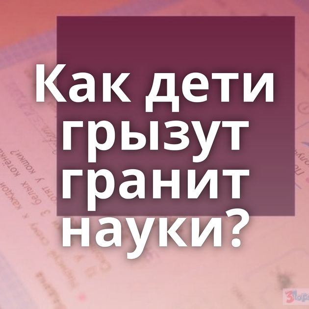 Как дети грызут гранит науки?