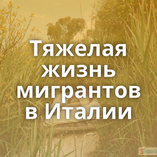 Тяжелая жизнь мигрантов в Италии