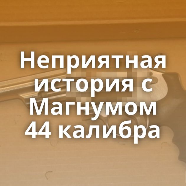 Неприятная история с Магнумом 44 калибра