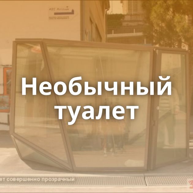 Необычный туалет