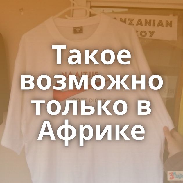 Такое возможно только в Африке