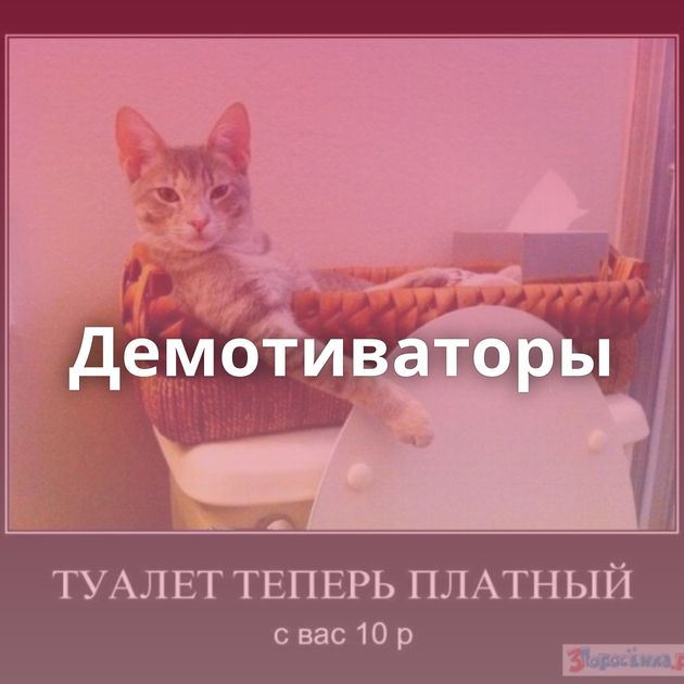 Демотиваторы